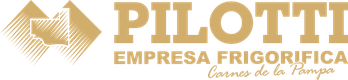 Pilloti